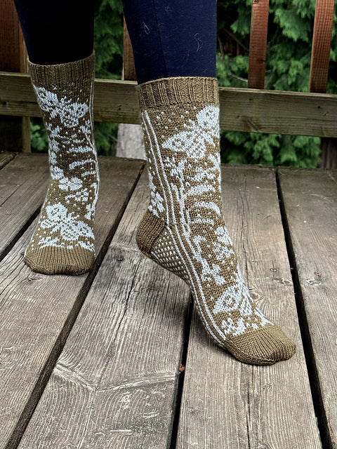 Step Into Color! - Colorwork Sock Workshop - Saturday, October 3, 10:15am-1:15pm