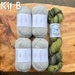 Knotty Lamb - Barndance Sweater Kits - Knotty Lamb - Kits