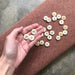 Knotty Lamb - Buttons - Retrosaria - Accessory