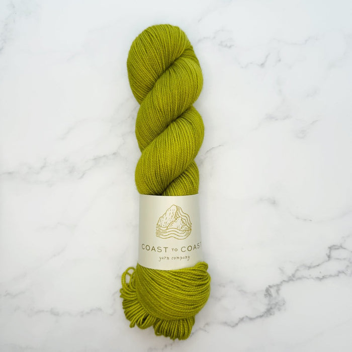 Knotty Lamb - Coast to Coast Classic Sock - Coast to Coast Yarn Co. - Yarn