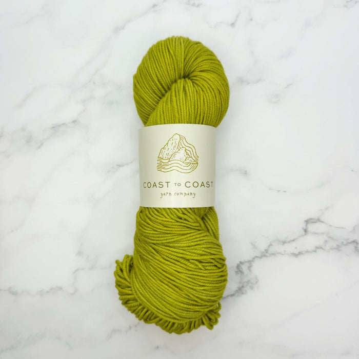 Knotty Lamb - Coast to Coast Shaniko DK - Coast to Coast Yarn Co. - Yarn