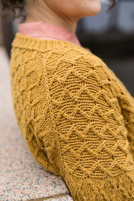 Knotty Lamb - Entwined - Laine - Books