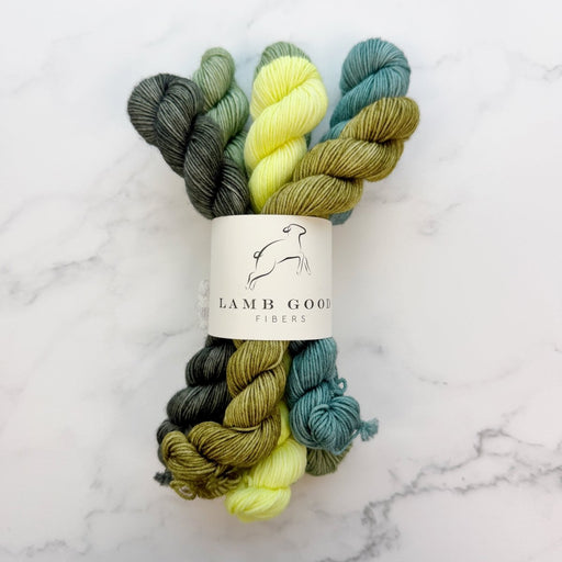 Knotty Lamb - Lamb Good Mini Sets - Lamb Good Fibers - Yarn
