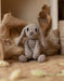 Knotty Lamb - TOFT Amigurumi Kits - TOFT Trade - Kits